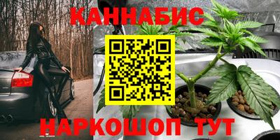 mdma Дубна