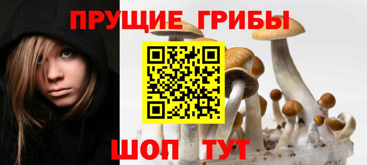 Минеральные Воды  Псилоцибиновые грибы Psilocybine cubensis  Вход с VPN 